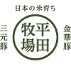 ニュース・記事画像